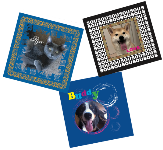 オリジナルペットフォトタオル